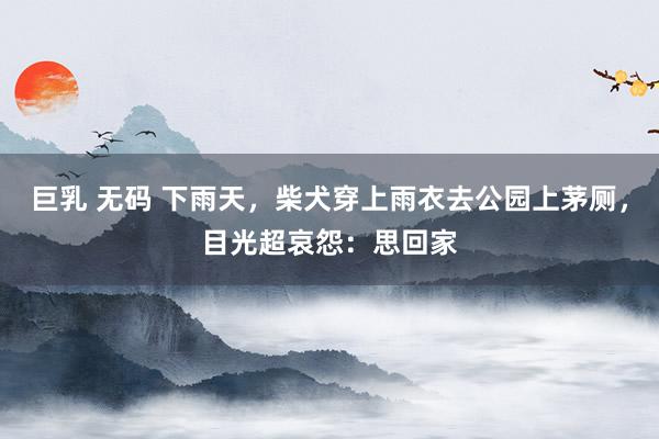 巨乳 无码 下雨天，柴犬穿上雨衣去公园上茅厕，目光超哀怨：思回家