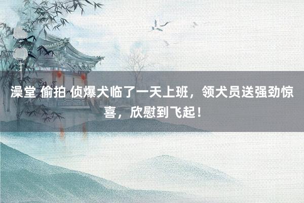 澡堂 偷拍 侦爆犬临了一天上班，领犬员送强劲惊喜，欣慰到飞起！