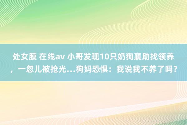 处女膜 在线av 小哥发现10只奶狗襄助找领养，一忽儿被抢光…狗妈恐惧：我说我不养了吗？