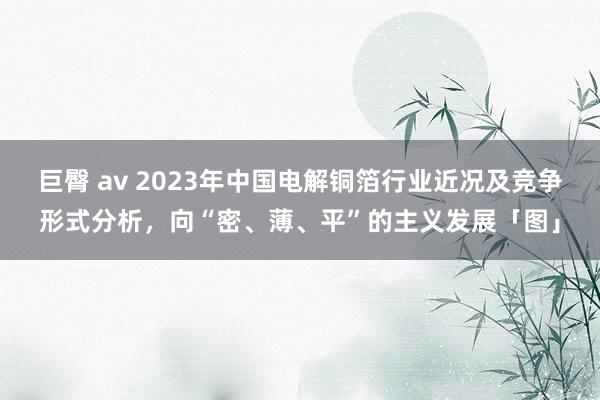 巨臀 av 2023年中国电解铜箔行业近况及竞争形式分析，向“密、薄、平”的主义发展「图」
