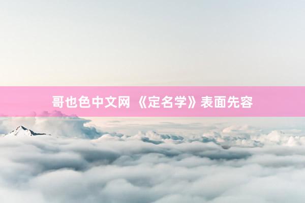哥也色中文网 《定名学》表面先容