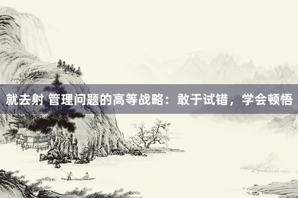 就去射 管理问题的高等战略：敢于试错，学会顿悟