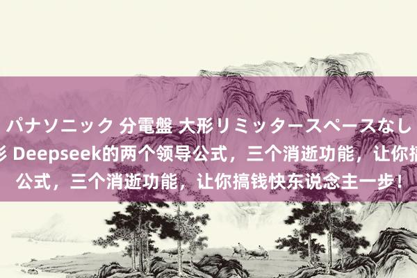 パナソニック 分電盤 大形リミッタースペースなし 露出・半埋込両用形 Deepseek的两个领导公式，三个消逝功能，让你搞钱快东说念主一步！